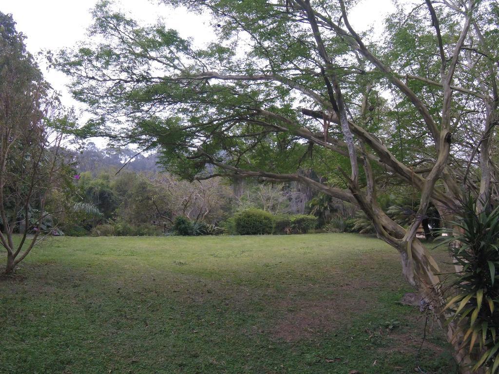 Hotel Pousada Amoedo Petrópolis Exterior foto